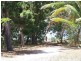 Cape Tribulation QLD 4873