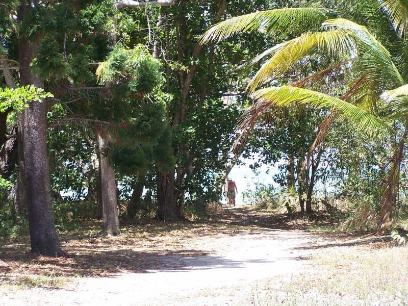 Cape Tribulation QLD 4873