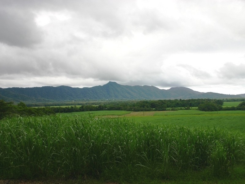 Daintree QLD 4873