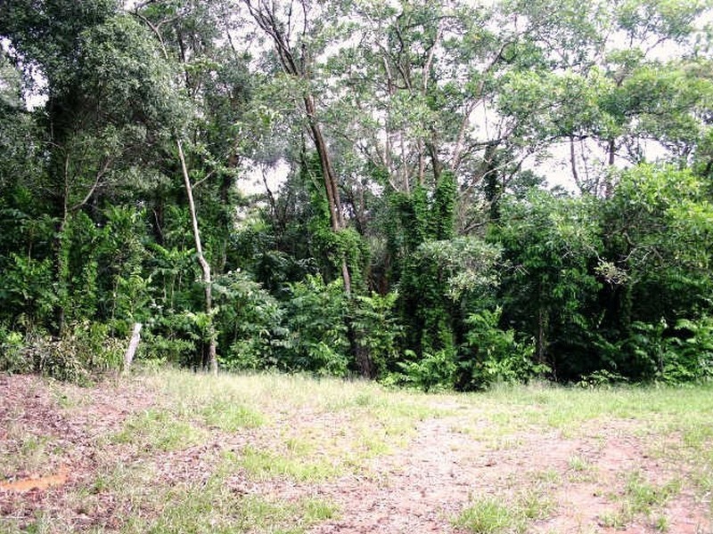 Daintree QLD 4873