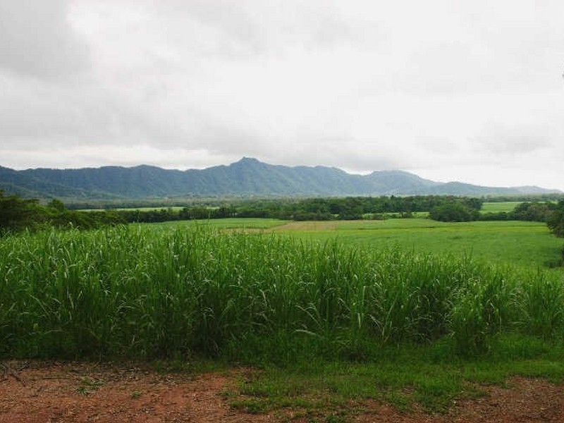 Daintree QLD 4873