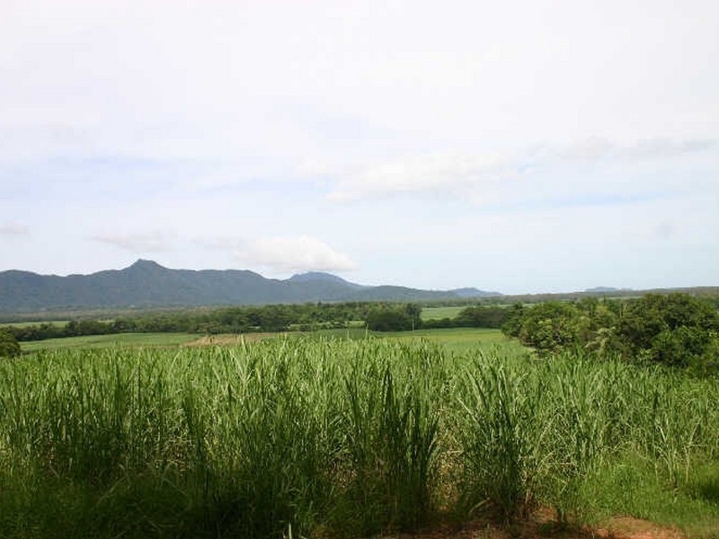 Daintree QLD 4873