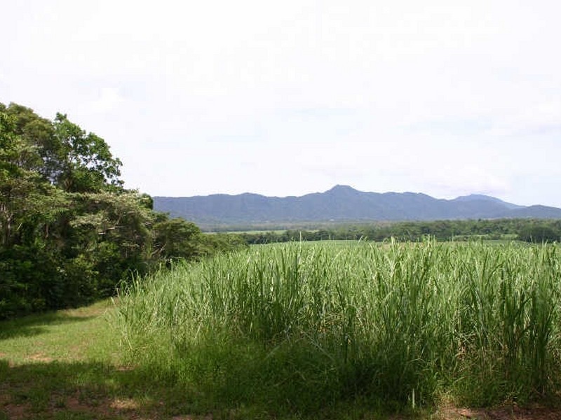 Daintree QLD 4873