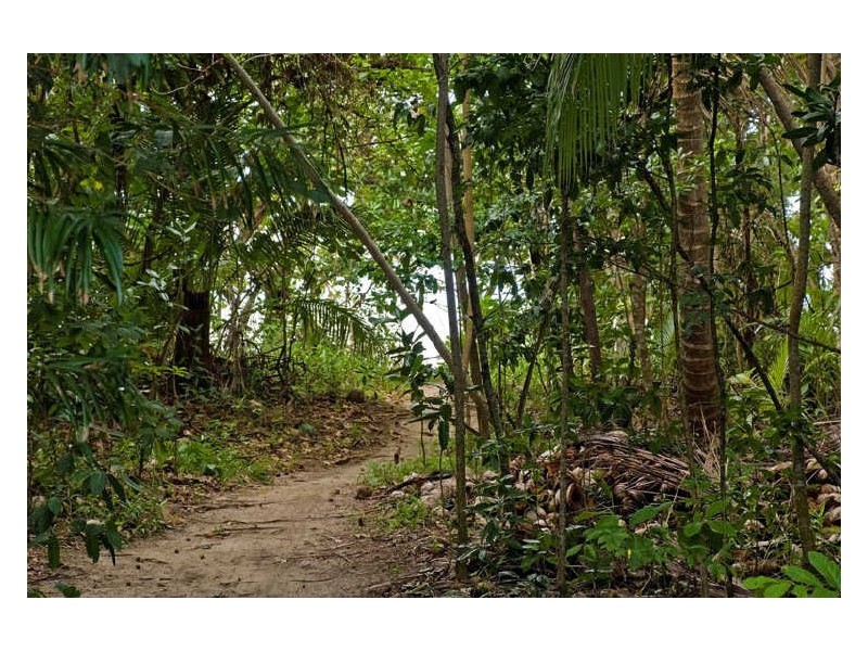 8 Barka Close, Cape Tribulation QLD 4873