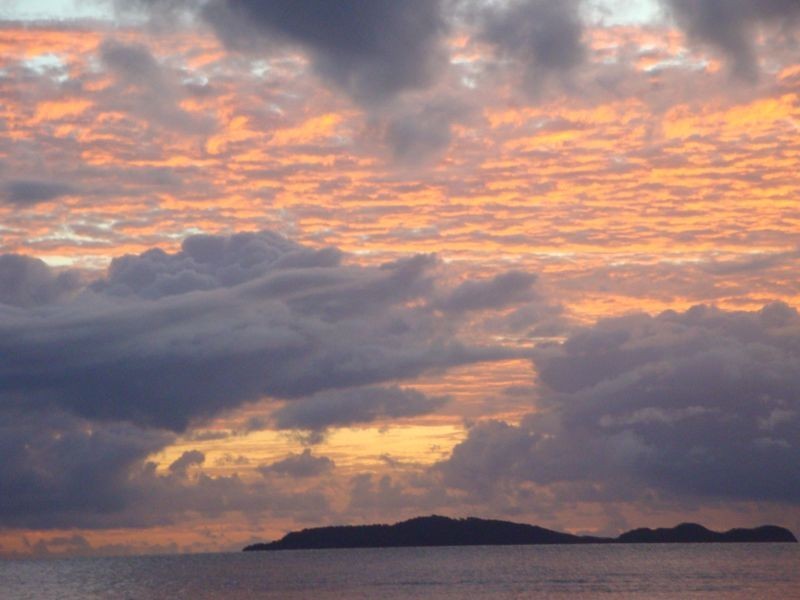 8 Barka Close, Cape Tribulation QLD 4873