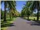 Port Douglas QLD 4877