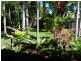 Port Douglas QLD 4877