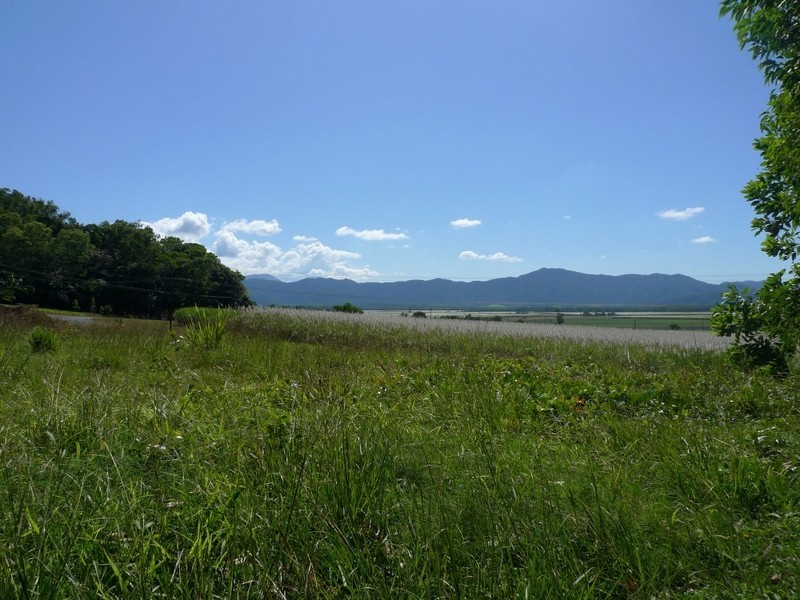 Cape Tribulation QLD 4873