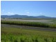 Cape Tribulation QLD 4873