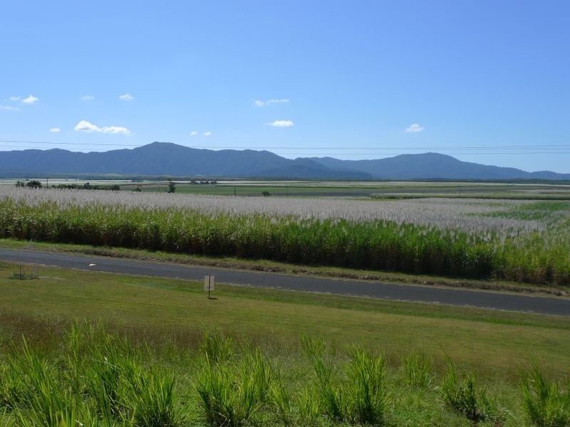 Cape Tribulation QLD 4873