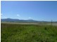 Cape Tribulation QLD 4873