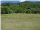 Cape Tribulation QLD 4873