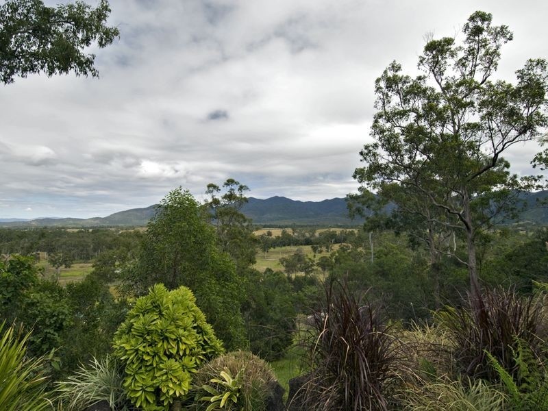 115 Mclean Bridge Road, Julatten QLD 4871