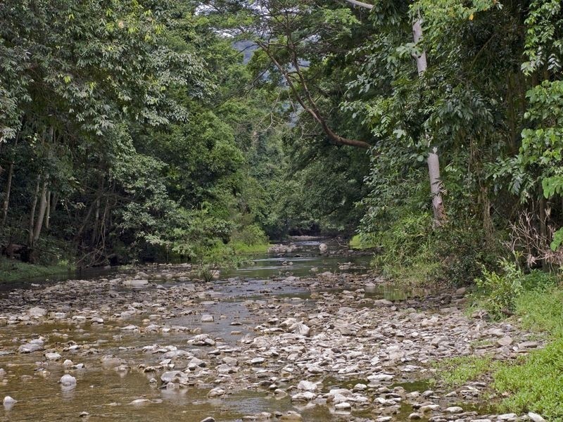 Port Douglas QLD 4877