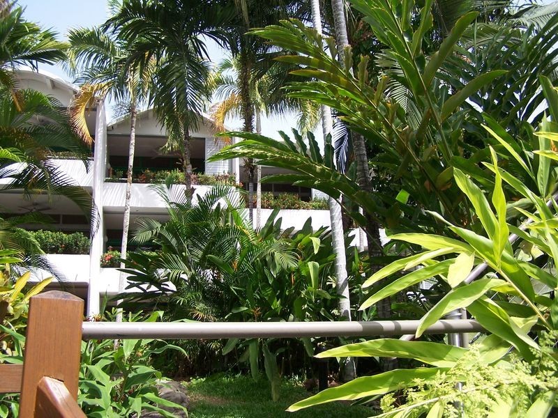 105 Club Tropical, Port Douglas QLD 4877