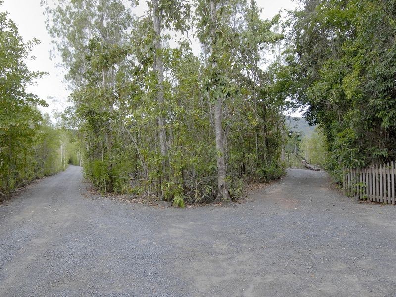 61 Cape Tribulation Road, Daintree QLD 4873
