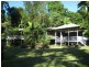 Lot 1 Deep Forest Lodge Cape Tribulation Road, Cape Tribulation QLD 4873