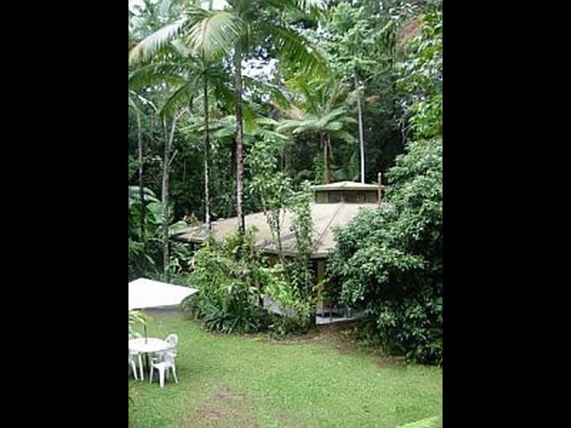 Lot 1 Deep Forest Lodge Cape Tribulation Road, Cape Tribulation QLD 4873
