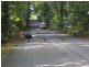 Lot 1 Deep Forest Lodge Cape Tribulation Road, Cape Tribulation QLD 4873
