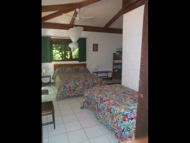 Lot 1 Deep Forest Lodge Cape Tribulation Road, Cape Tribulation QLD 4873