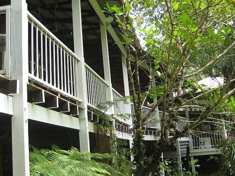 Lot 1 Deep Forest Lodge Cape Tribulation Road, Cape Tribulation QLD 4873