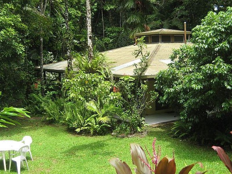 Lot 1 Deep Forest Lodge Cape Tribulation Road, Cape Tribulation QLD 4873