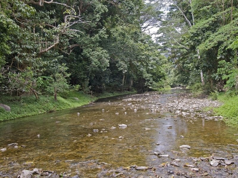 23 Mayfield Farm Mowbray, Port Douglas QLD 4877