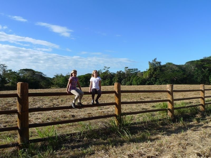 23 Mayfield Farm Mowbray, Port Douglas QLD 4877