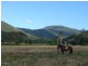 23 Mayfield Farm Mowbray, Port Douglas QLD 4877