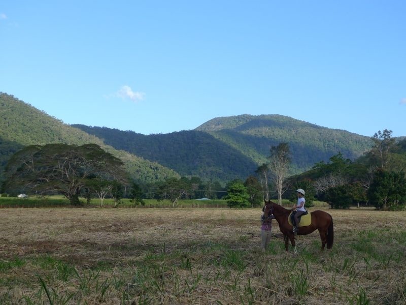 23 Mayfield Farm Mowbray, Port Douglas QLD 4877