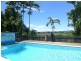 2 Bamboo Creek Rd, Cape Tribulation QLD 4873