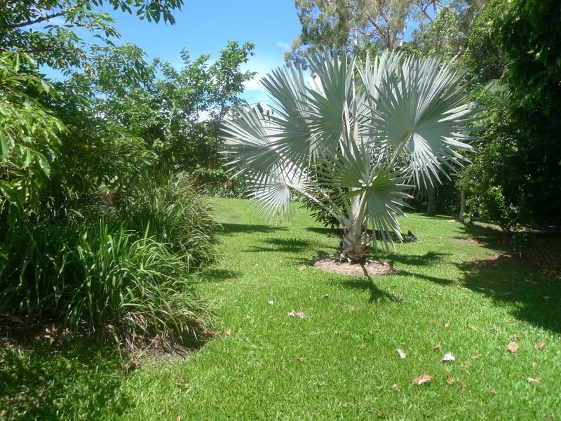 22/ Beachfront Mirage, Port Douglas QLD 4877