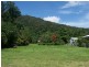 38 Kalkuri Close, Cape Tribulation QLD 4873