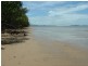 38 Kalkuri Close, Cape Tribulation QLD 4873
