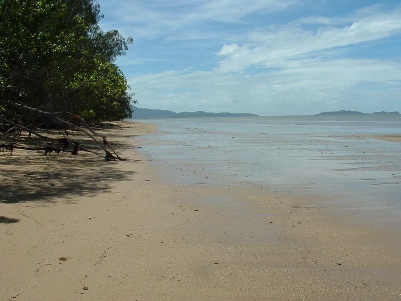 38 Kalkuri Close, Cape Tribulation QLD 4873
