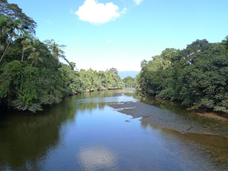 2 Stewart Creek Road, Daintree QLD 4873