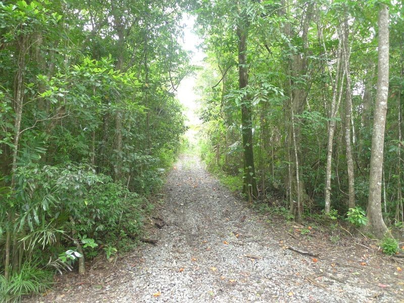 2 Stewart Creek Road, Daintree QLD 4873