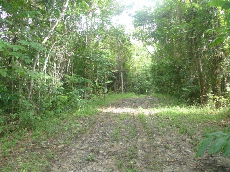 2 Stewart Creek Road, Daintree QLD 4873