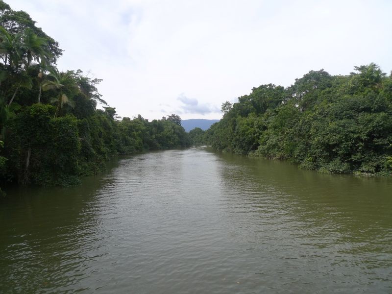 2 Stewart Creek Road, Daintree QLD 4873