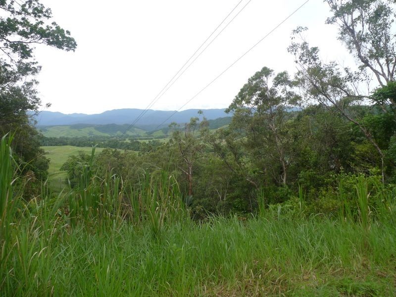 2 Stewart Creek Road, Daintree QLD 4873