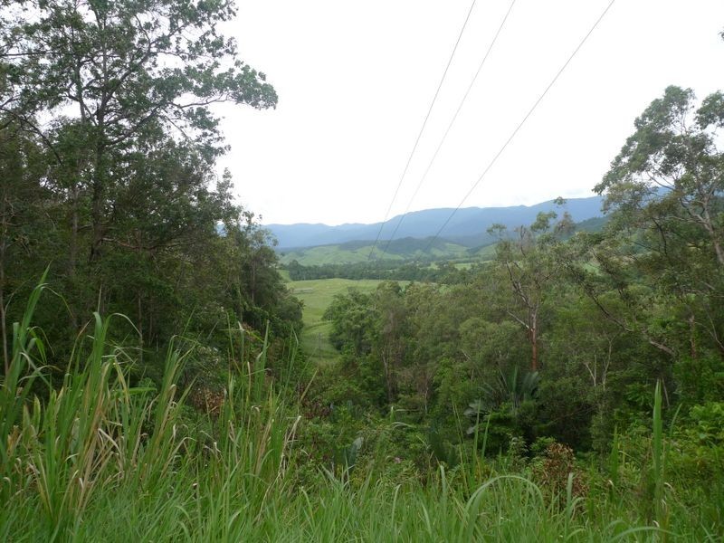 2 Stewart Creek Road, Daintree QLD 4873