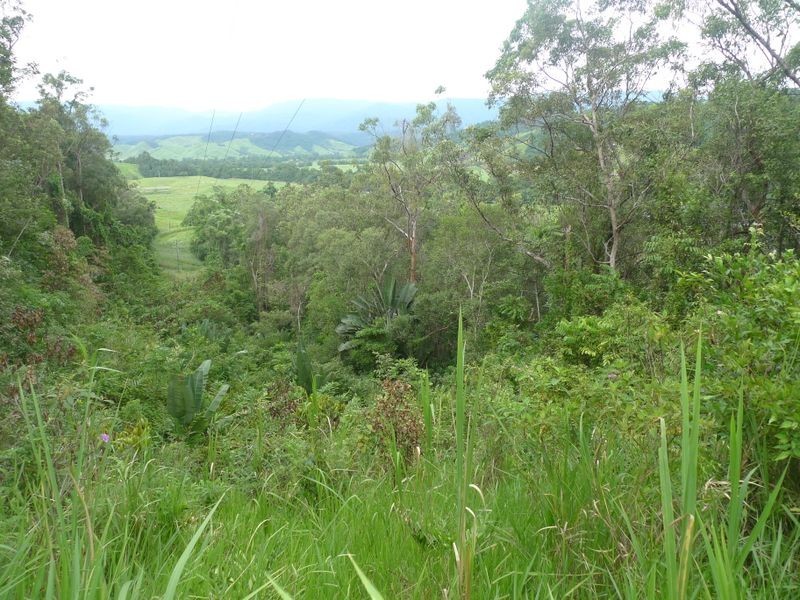 2 Stewart Creek Road, Daintree QLD 4873