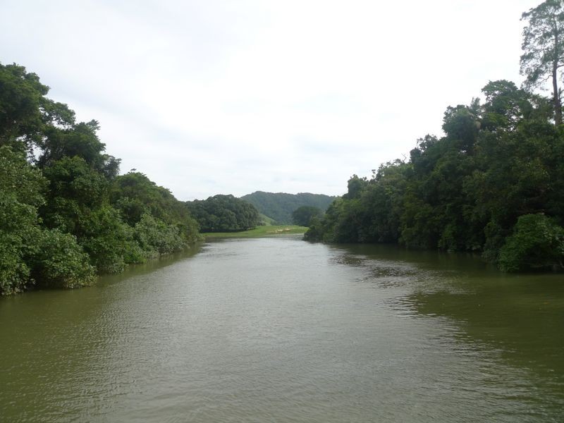 2 Stewart Creek Road, Daintree QLD 4873