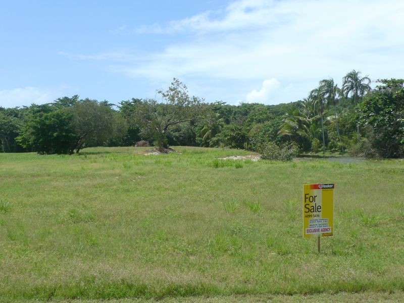 99 Snapper Island Drive, Wonga Beach QLD 4873