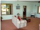 1 Norris Road, Cape Tribulation QLD 4873