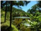 1 Norris Road, Cape Tribulation QLD 4873
