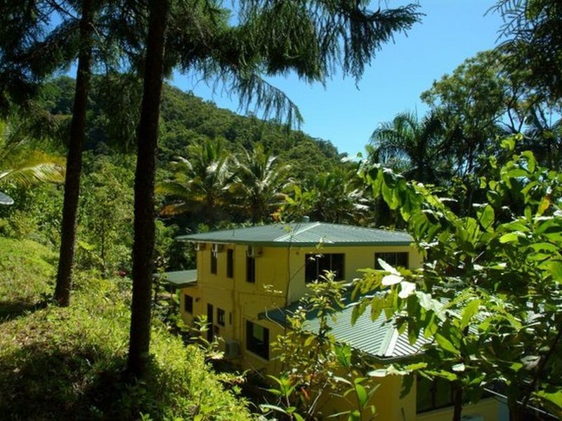 1 Norris Road, Cape Tribulation QLD 4873