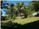 1 Norris Road, Cape Tribulation QLD 4873