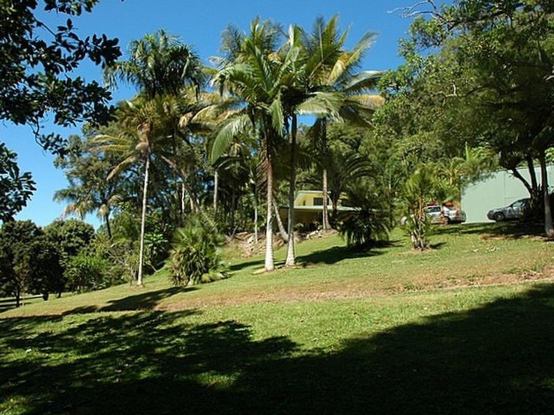 1 Norris Road, Cape Tribulation QLD 4873