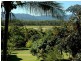 1 Norris Road, Cape Tribulation QLD 4873